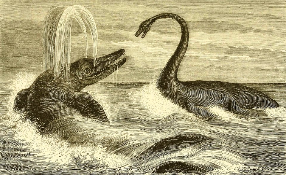 Ichthyosaur and Plesiosaurus