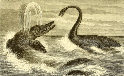 Ichthyosaur and Plesiosaurus