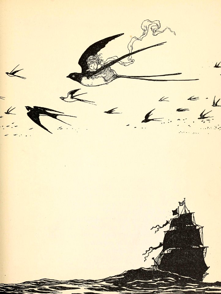 Swallow Soared High
