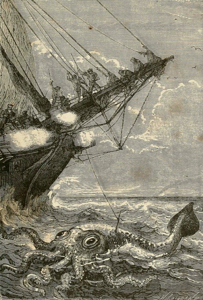 Attacked with Harpoons