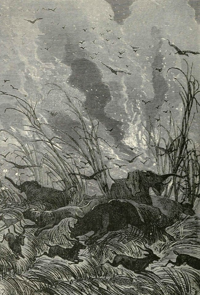 Howlings