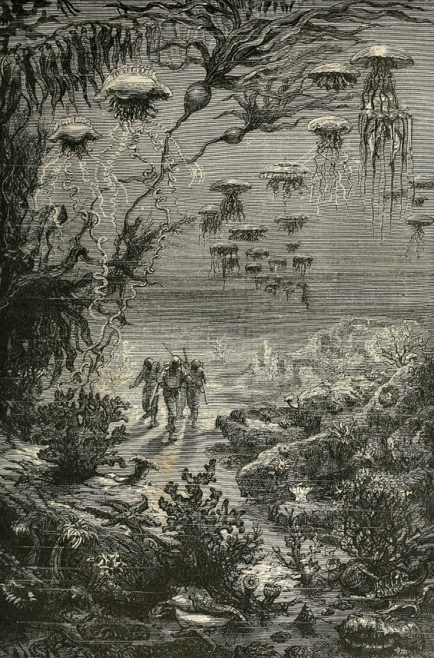 Underwater Landscape