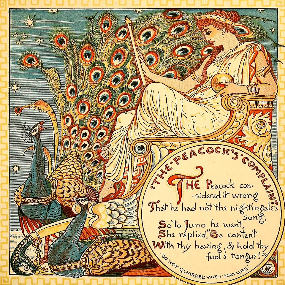 Peacock’s complaint