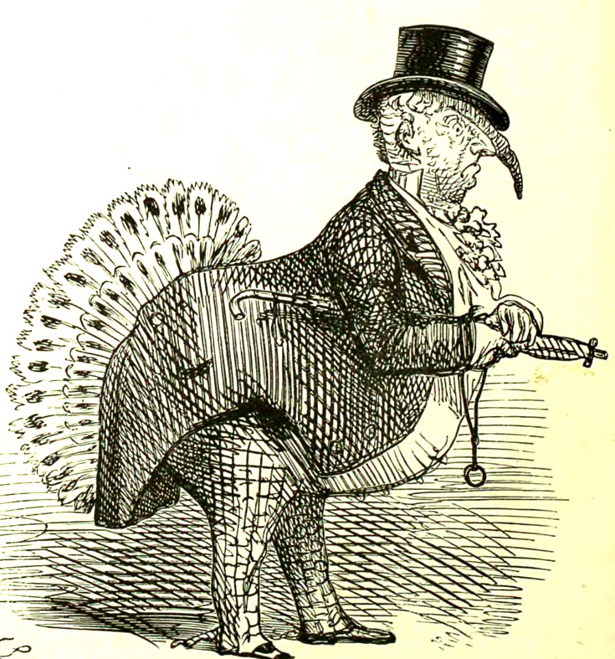 Distressing Results of Eating Turkey