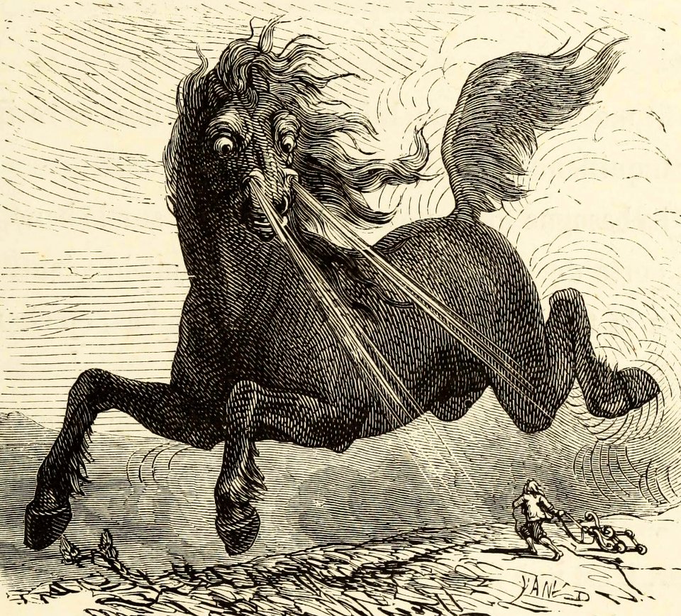 Horse as Big as an Elephant