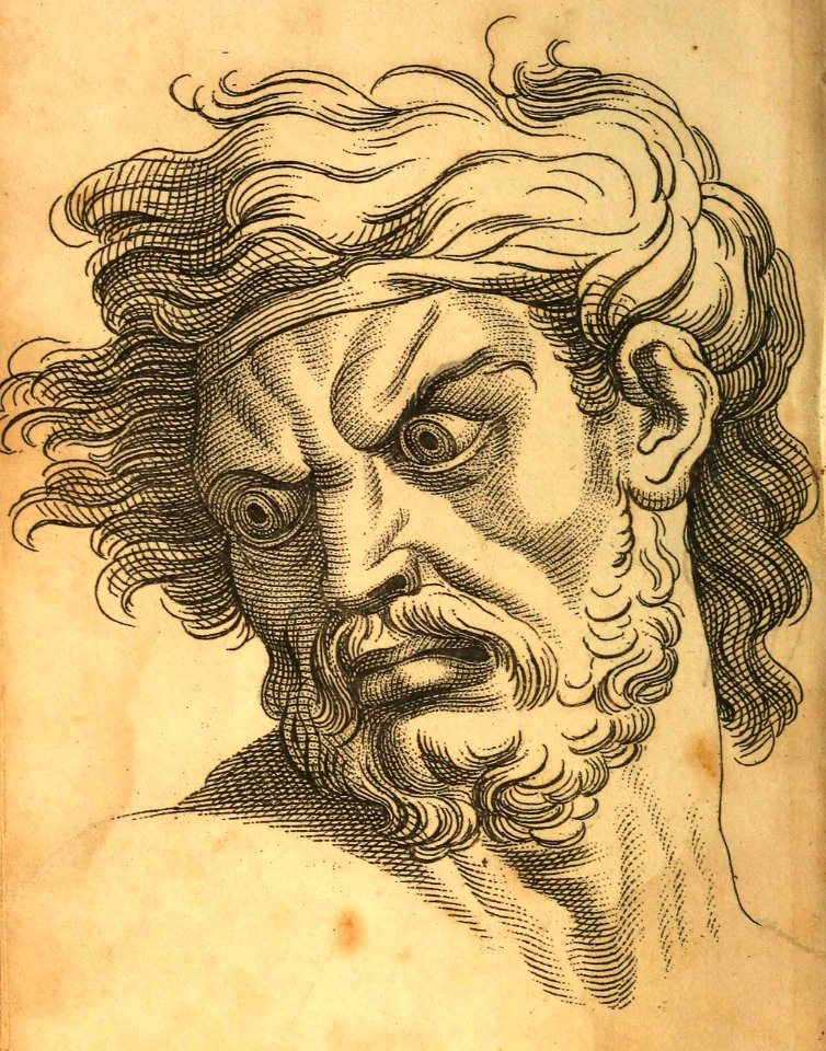 Anger (Le Brun)