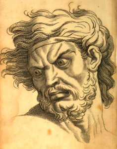 Anger (Le Brun)