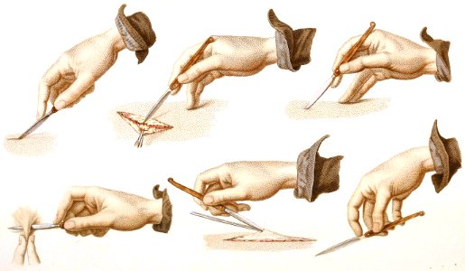 Holding the Bistoury