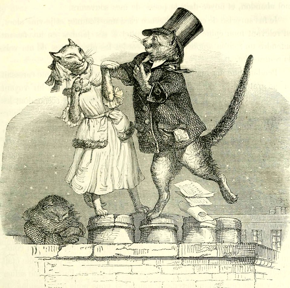 Dear Kitty
