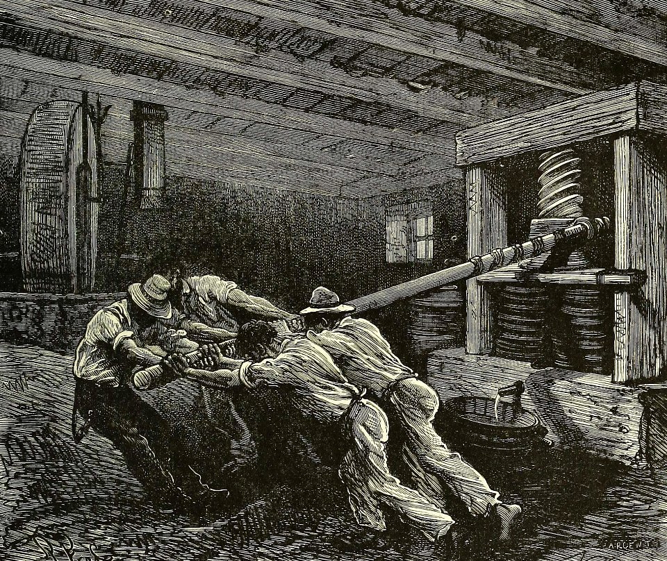 Oil Press