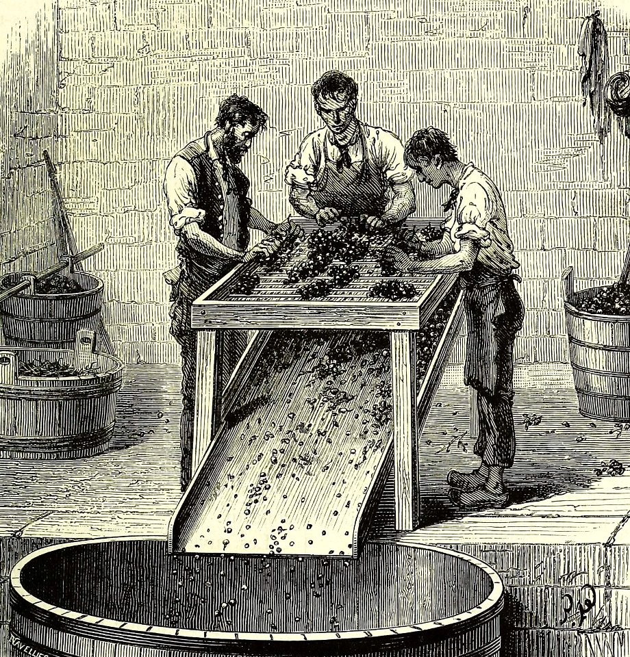 Stemming Grapes