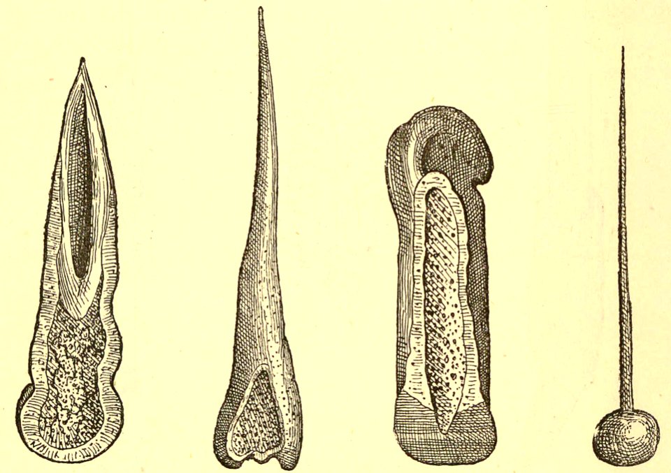 Prehistoric Bone Tools