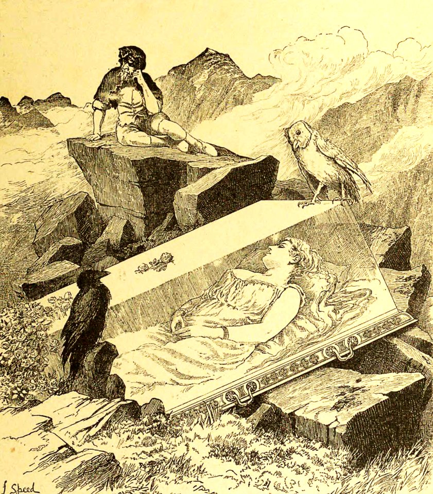 Coffin of Transparent Glass