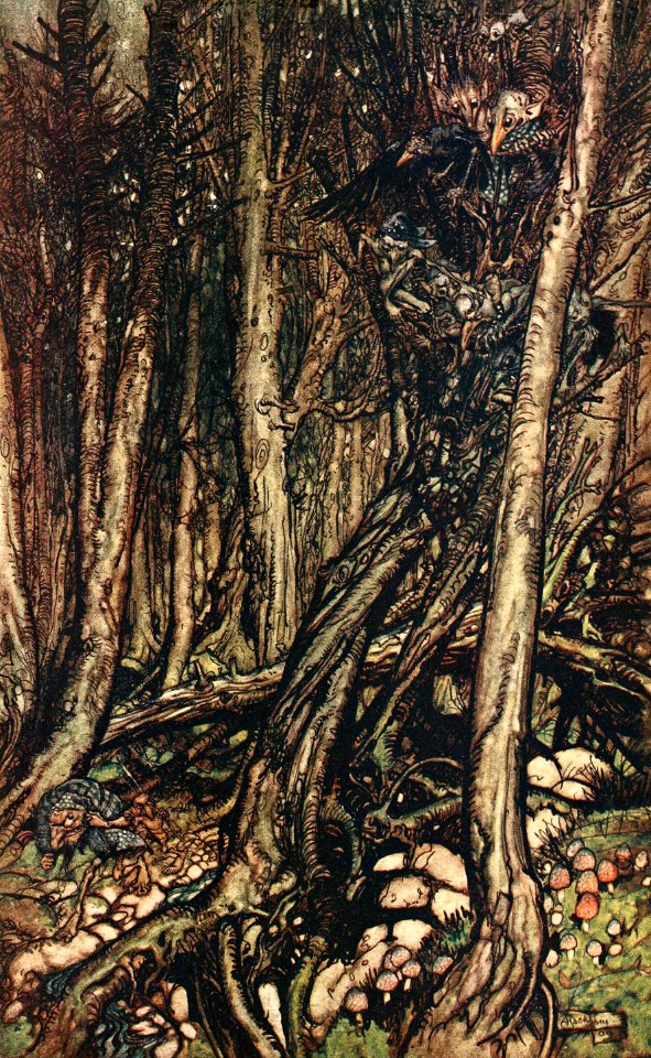 A Fearsome Forest