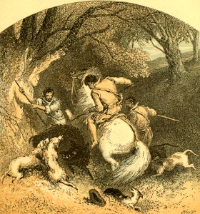 Royal Hunting in France