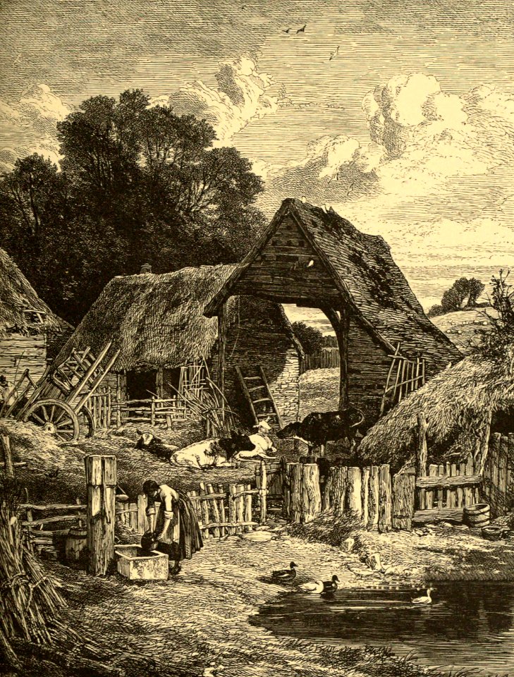 Farm-Yard