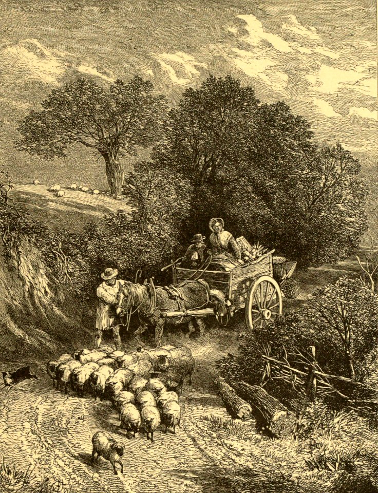 Market-Cart
