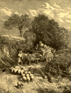 Market-Cart