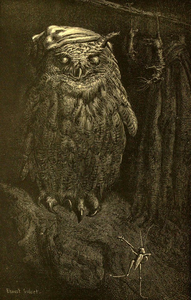 The Owl and the Grasshopper