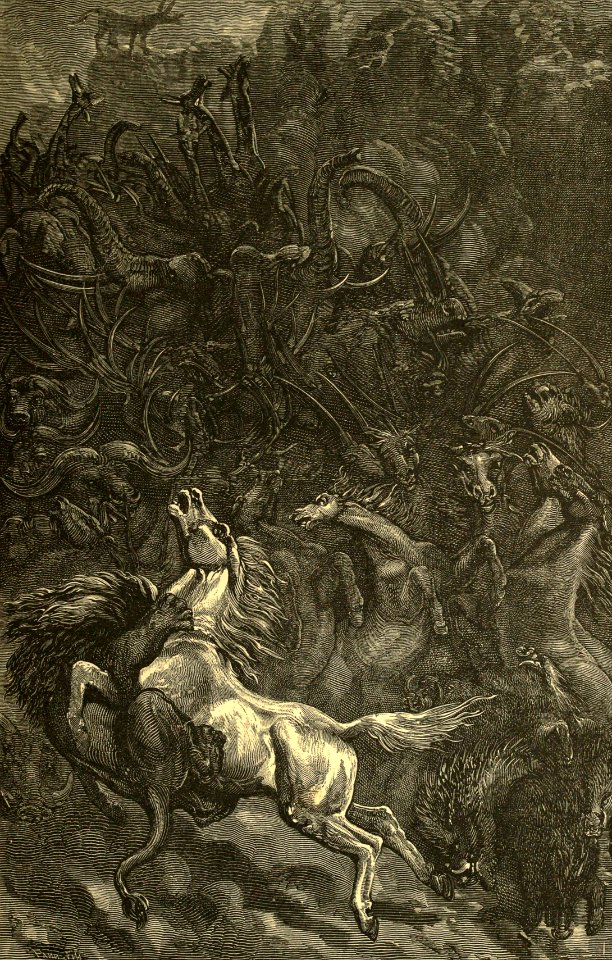 The ass and the lion hunting