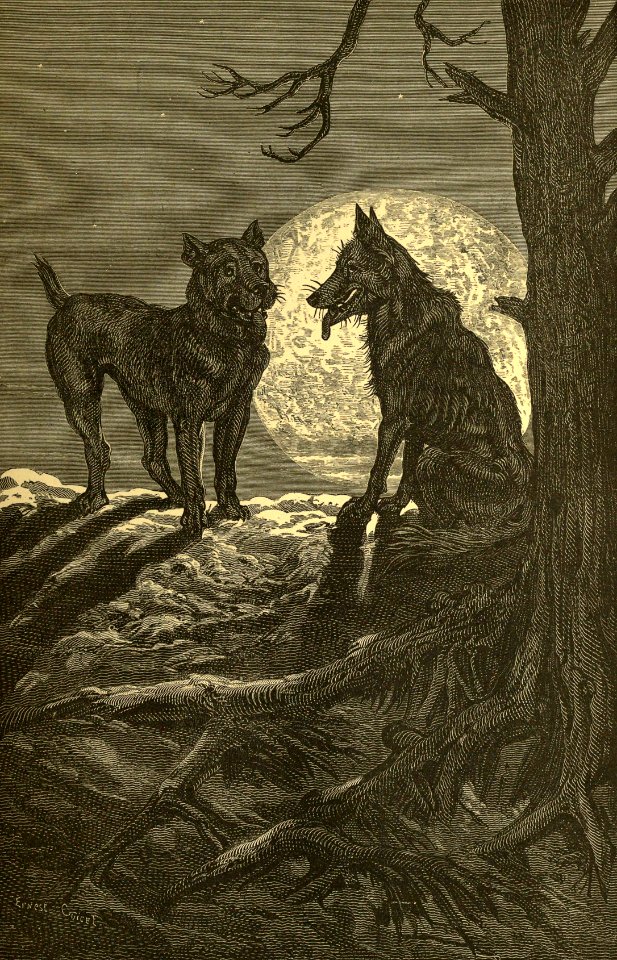 The Wolf and the Mastiff