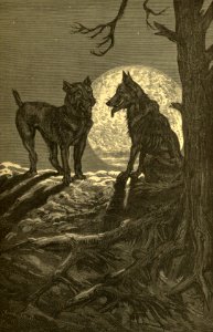 The Wolf and the Mastiff