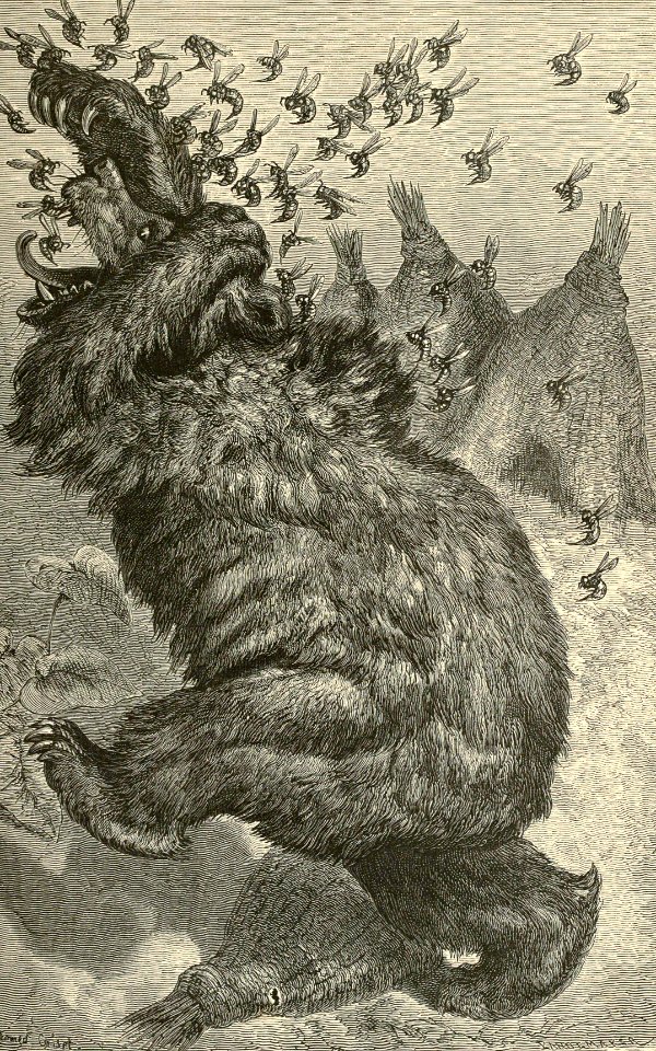 The Bear and the Beehive