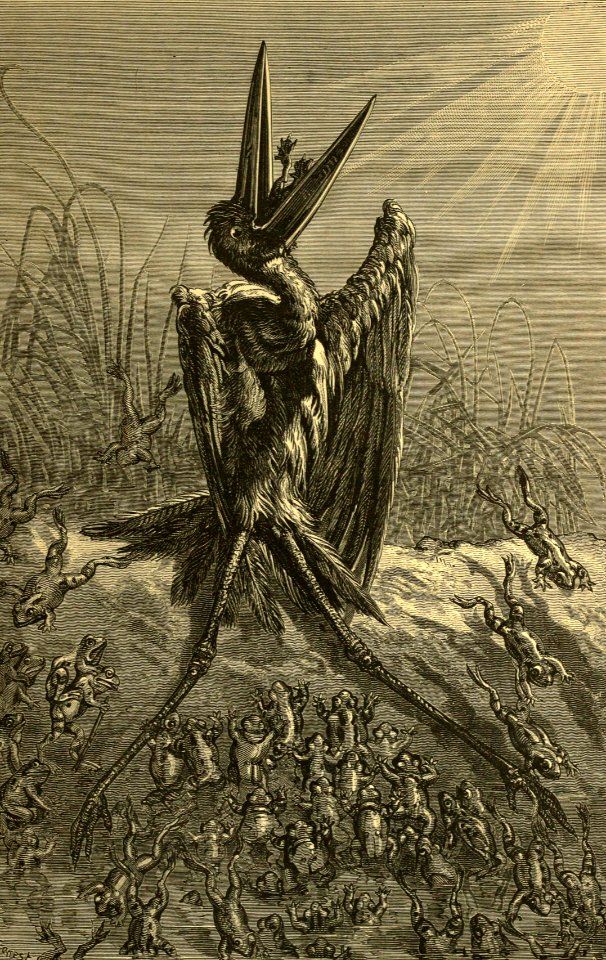 The Frogs Desiring a King