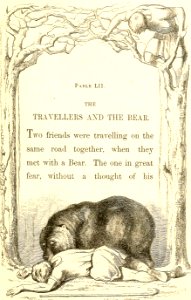 Travelers and Bear