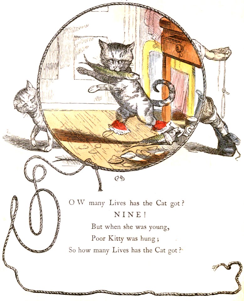 Poor Kitty Was Hung