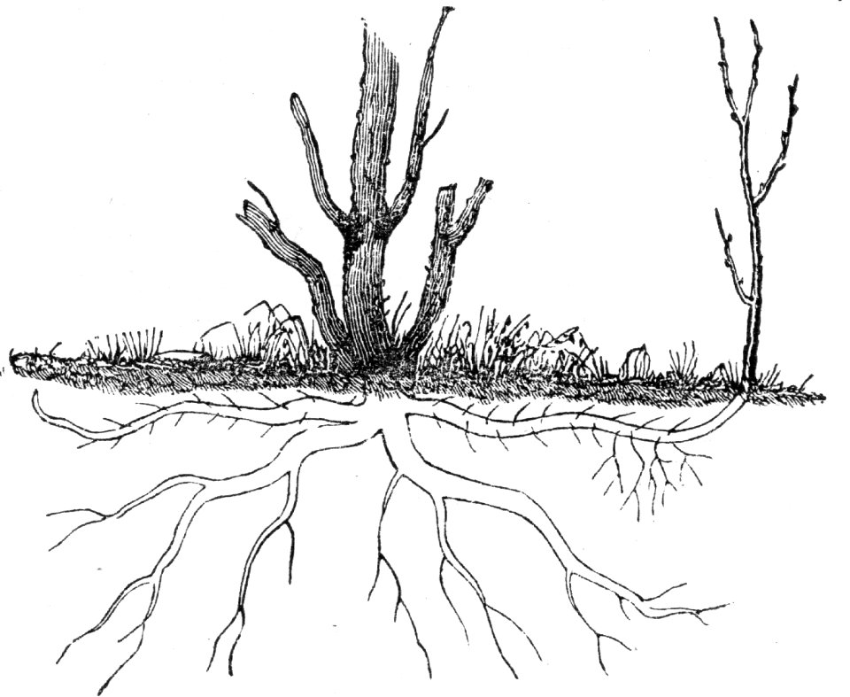 Ground Layering (2)