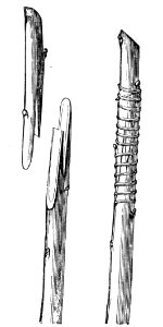 Whip and Tongue Graft (1)
