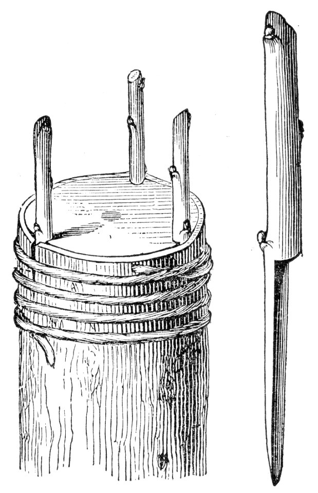 Crown Grafting