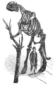 Hadrosaurus