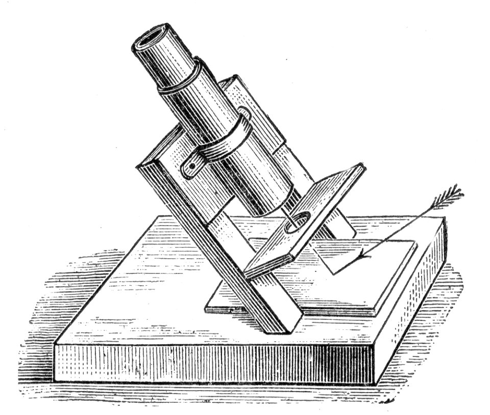 Polariscope