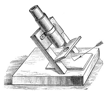 Polariscope