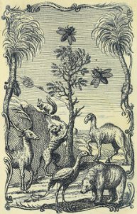 Bear, Deer, Dromedary, and Other Animals