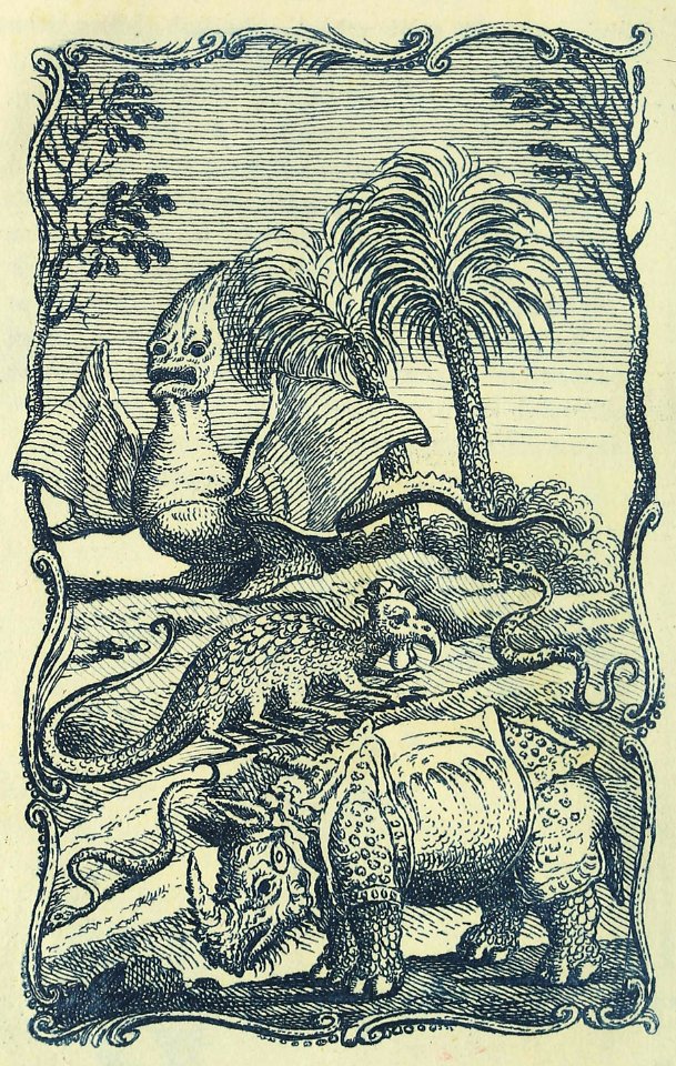 Rhinoceros and Other Creatures