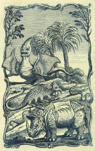 Rhinoceros and Other Creatures