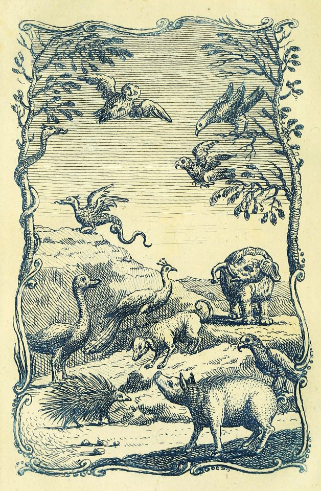 Owl, Dragon, elephant, and Other Creatures