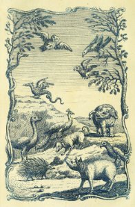 Owl, Dragon, elephant, and Other Creatures