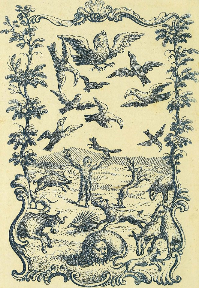 Wild Man, Birds, and Other animals