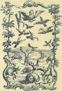 Wild Man, Birds, and Other animals