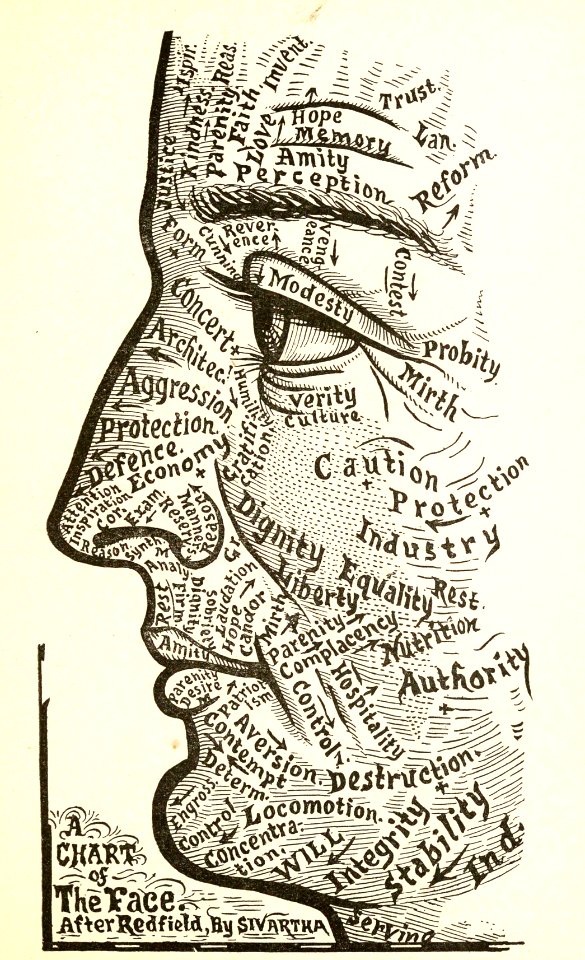 Chart of the Face