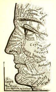 Chart of the Face
