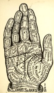 Chart of the Hand