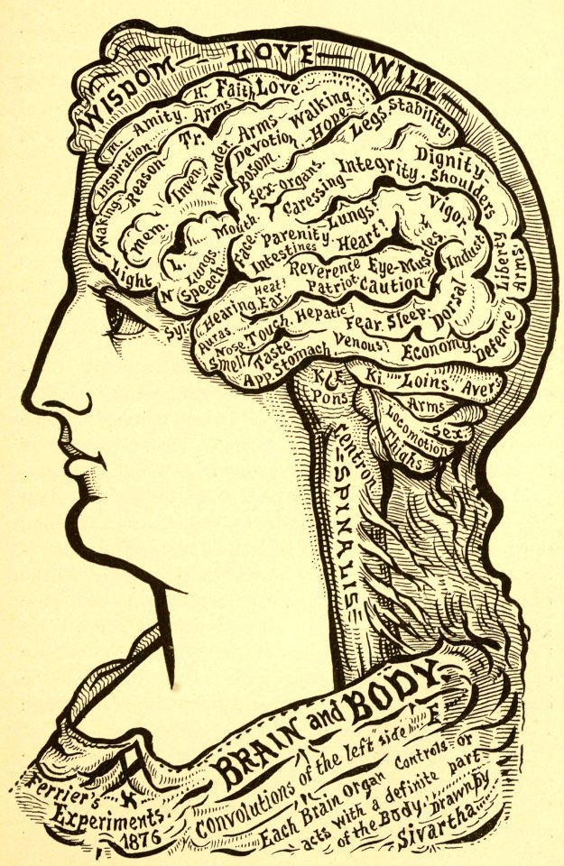 Brain and Body