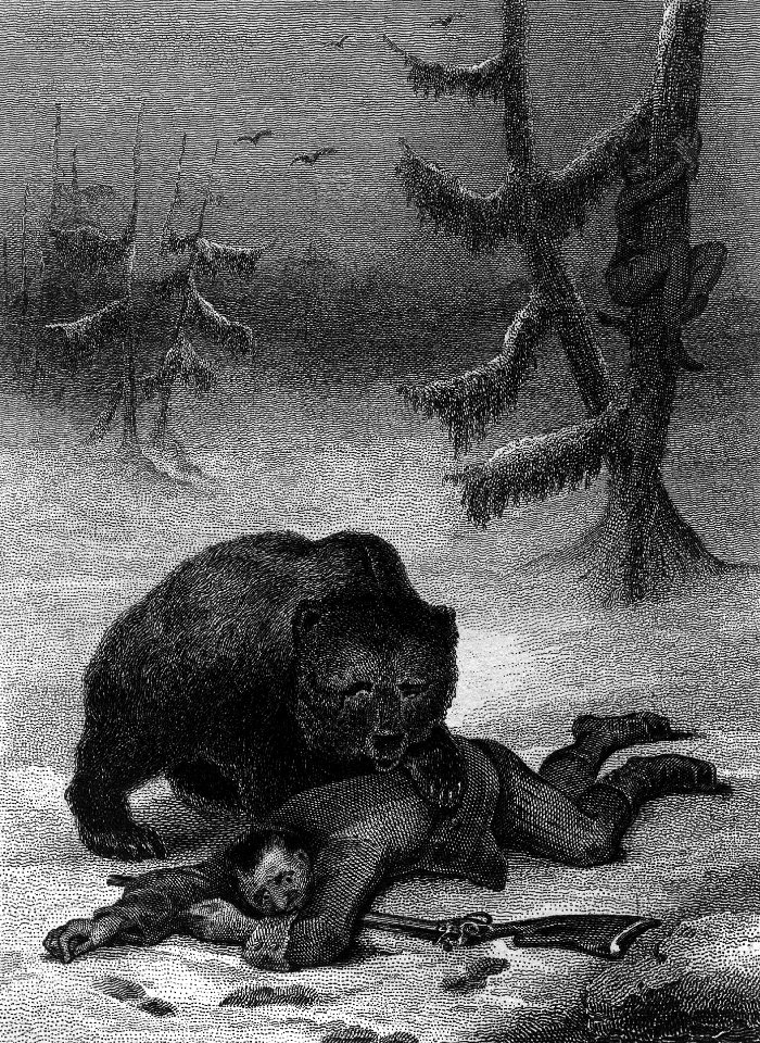 The Bear and the Two Companions