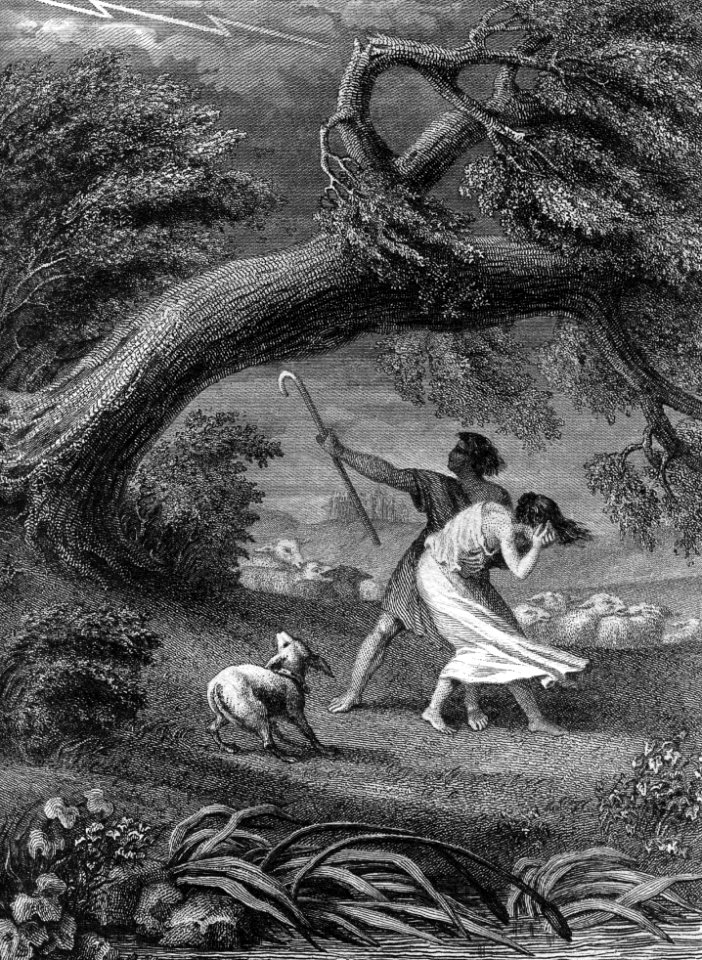 The Oak and the Reed