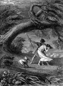 The Oak and the Reed